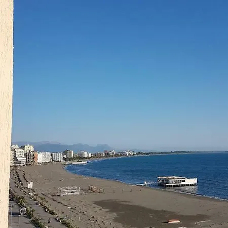 Shetitorja Willson Apartment *